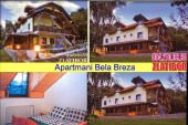 Zlatibor Apartmani Odlicna Ponuda