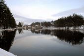 Zlatibor,izdajem apartman
