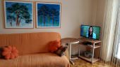 Izdajem apartman 30 m2 u centru Zlatibora 18 EUR